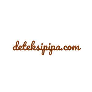 logo deteksipipa com